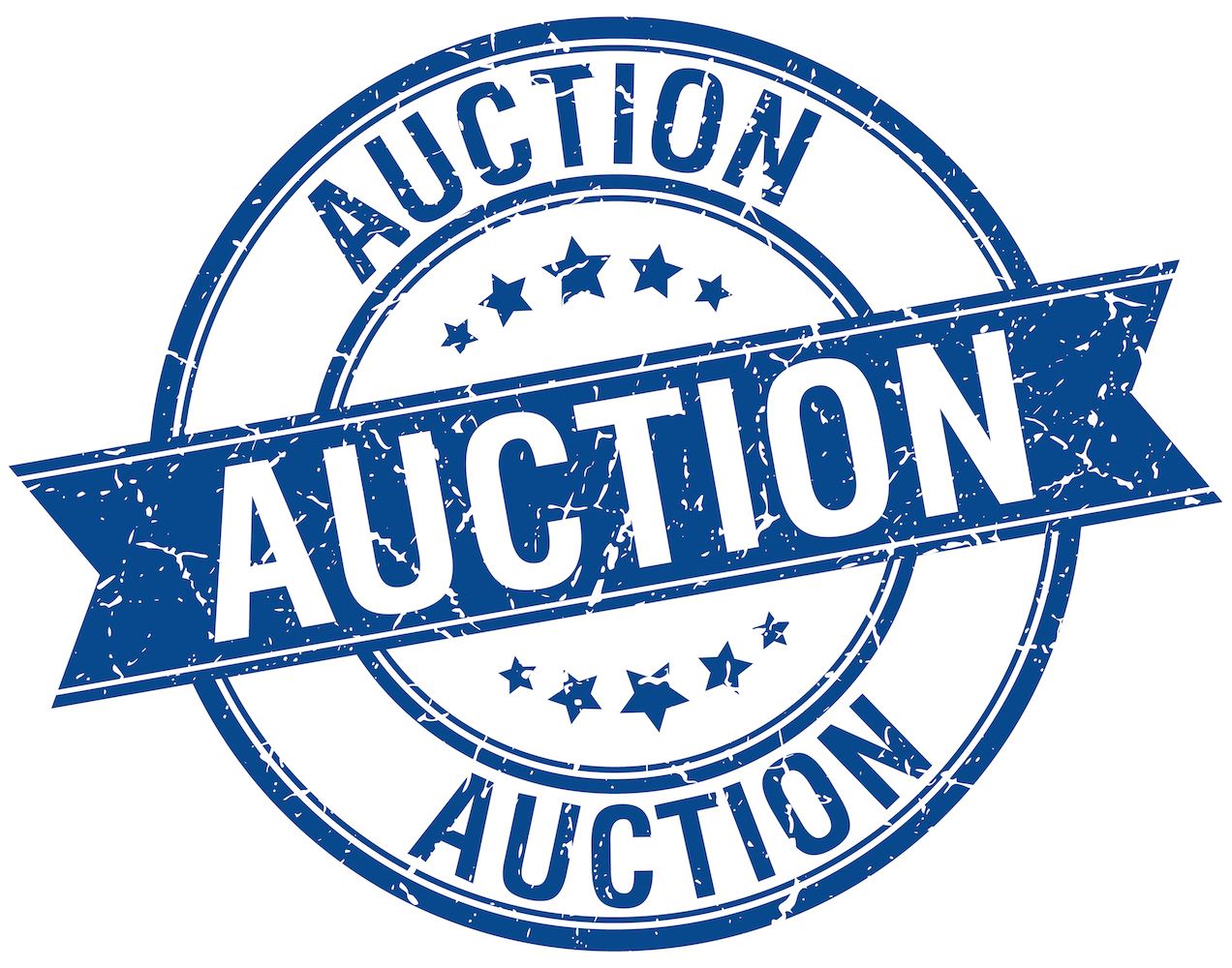Donate to Auction