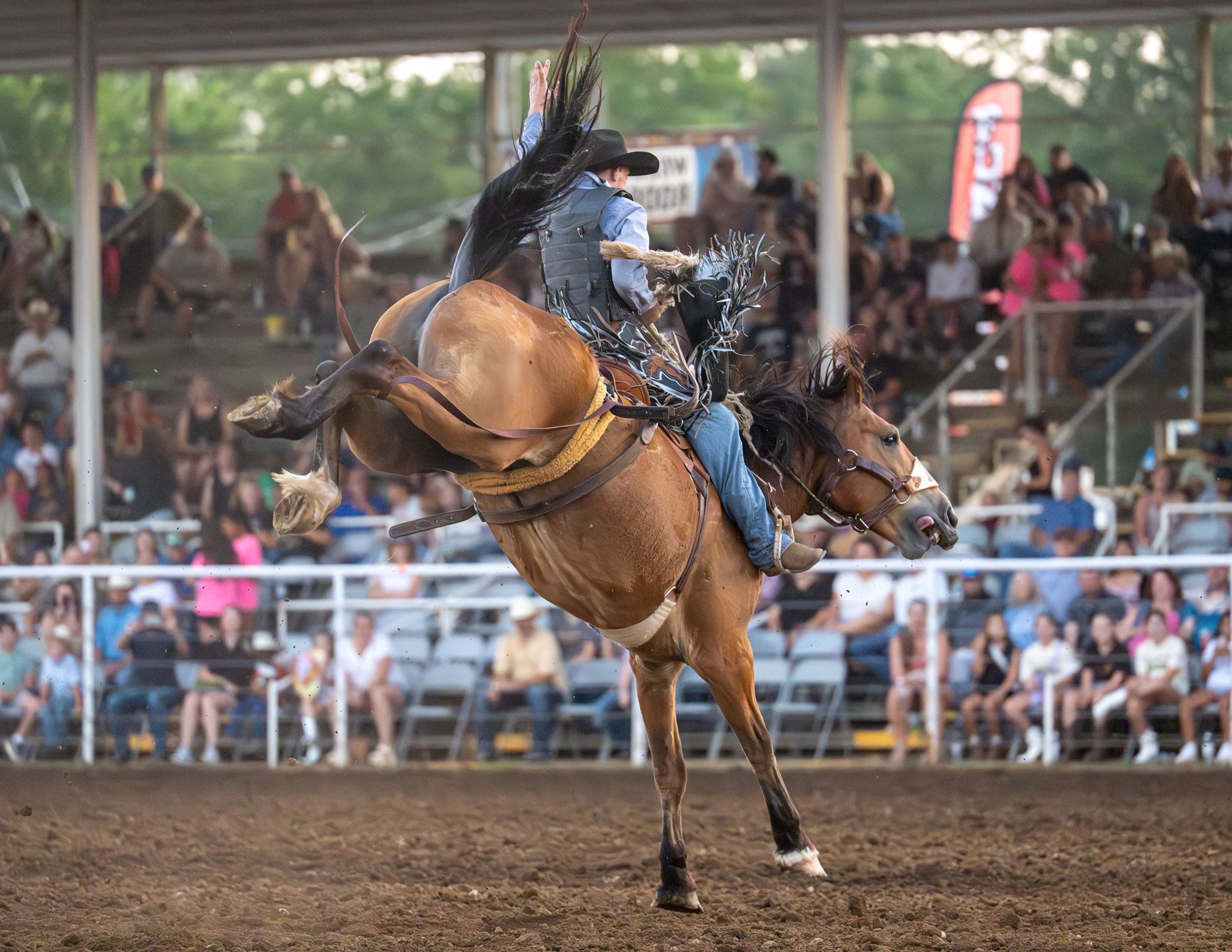 W. Williams Racing Rodeo Tickets & Deals