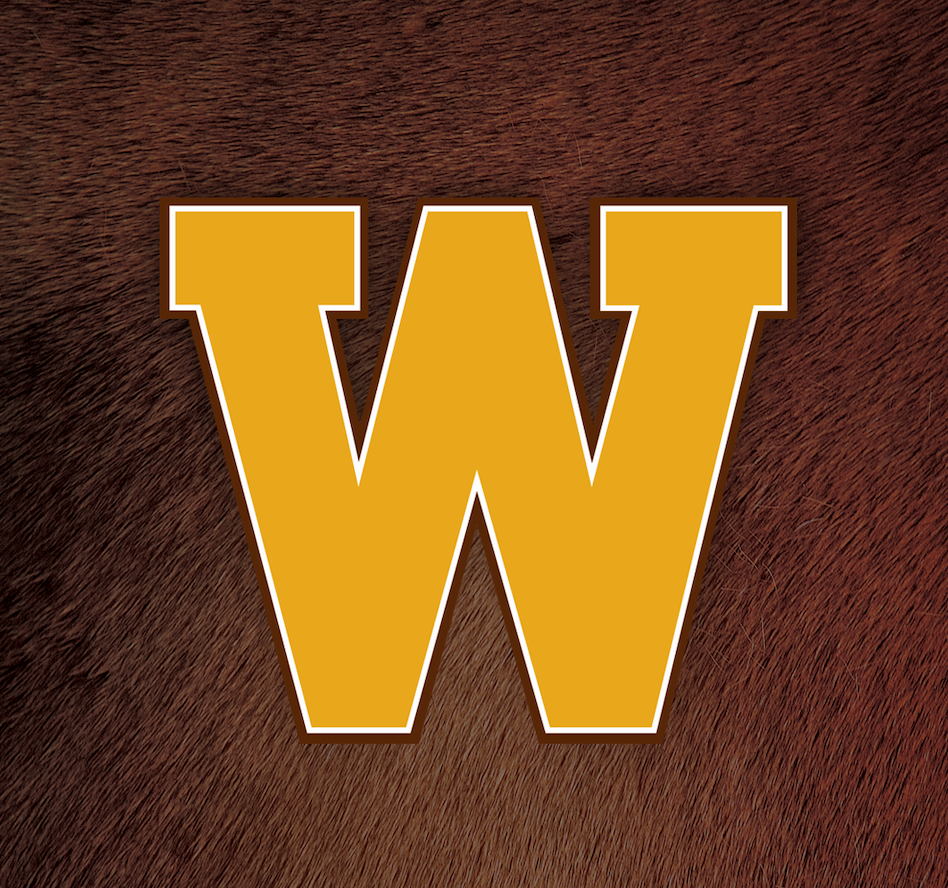 images.ashx?t=ig&rid=WingsStadium&i=Screen_Shot_2023-10-04_at_2.08.58 ...