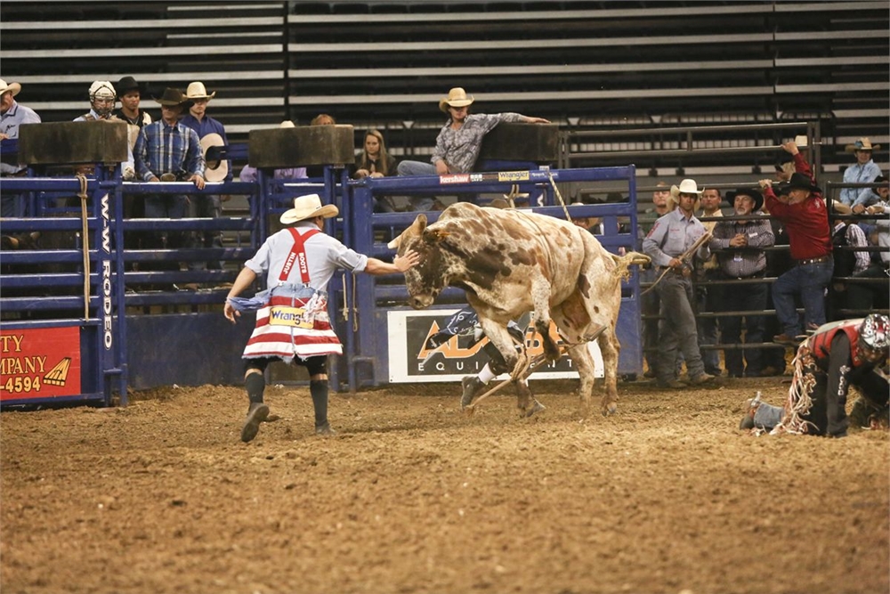Gray Bull Rodeo Photo Gallery Detail
