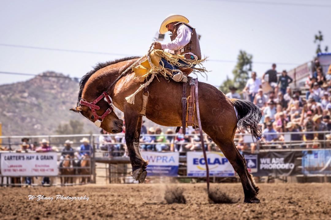 Lakeside Rodeo Bull Riding Lakeside Rodeo Media Pass and Photography