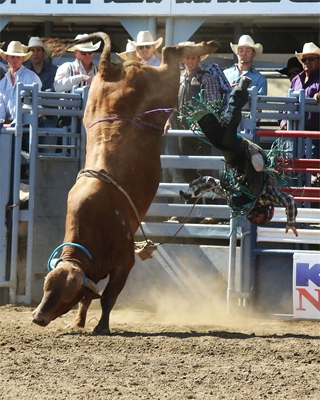 Lakeside Rodeo Bull Riding Event Results