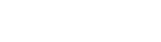 Florida Festival & Events Asociations