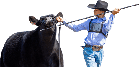 Don’t be left behind! Sign up today for the latest fair updates!